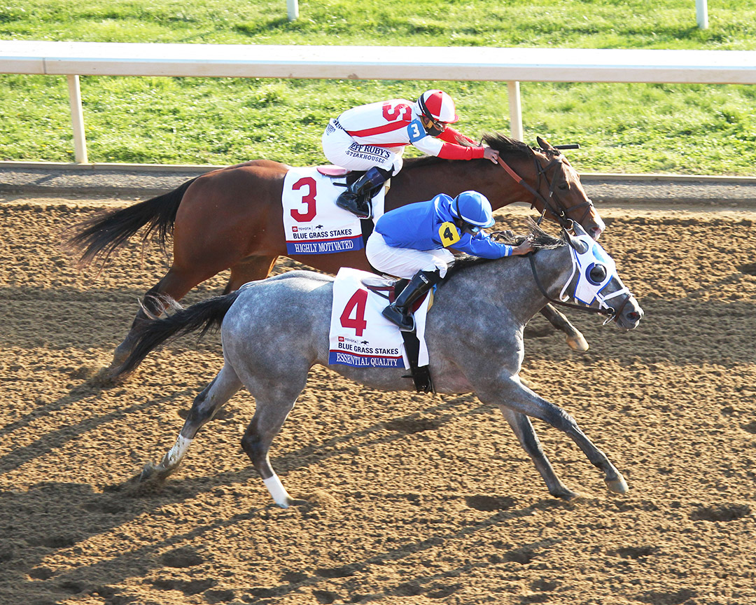 Essential Quality (No. 4) wins the Blue Grass Stakes at Keeneland Racecourse