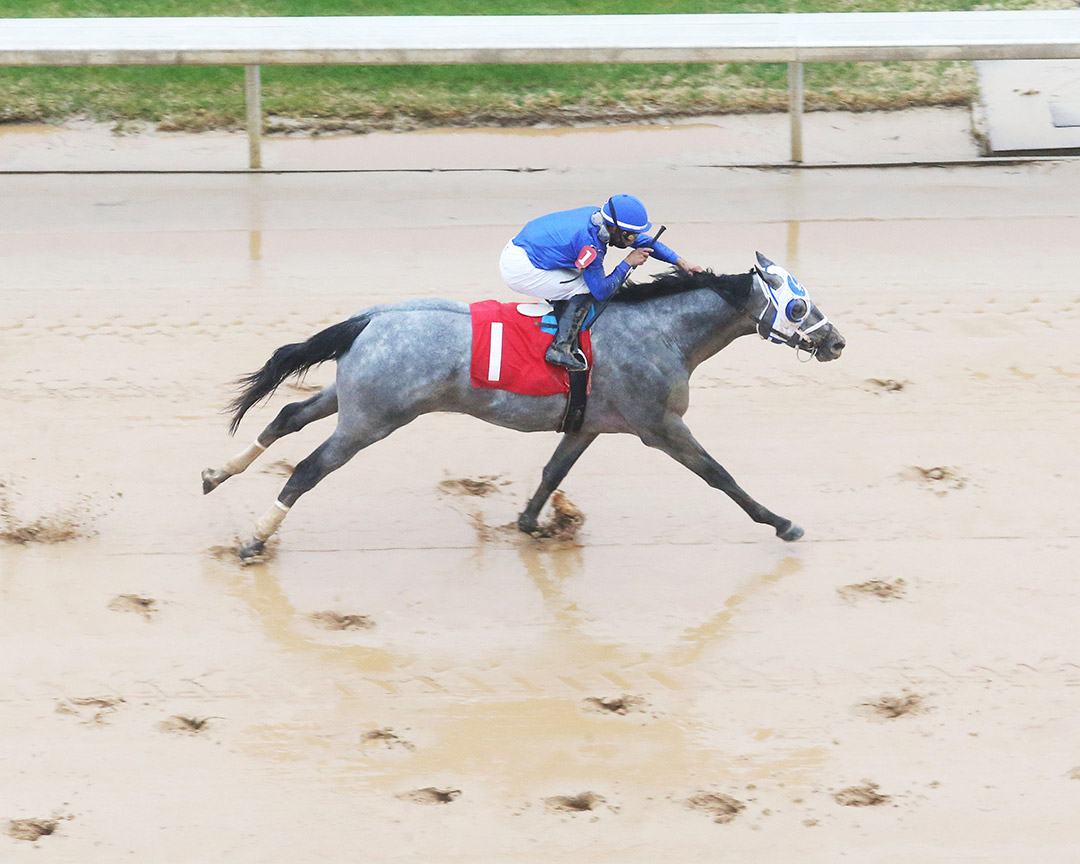 Essential Quality wins the 2021 Southwest Stakes at Oaklawn Park