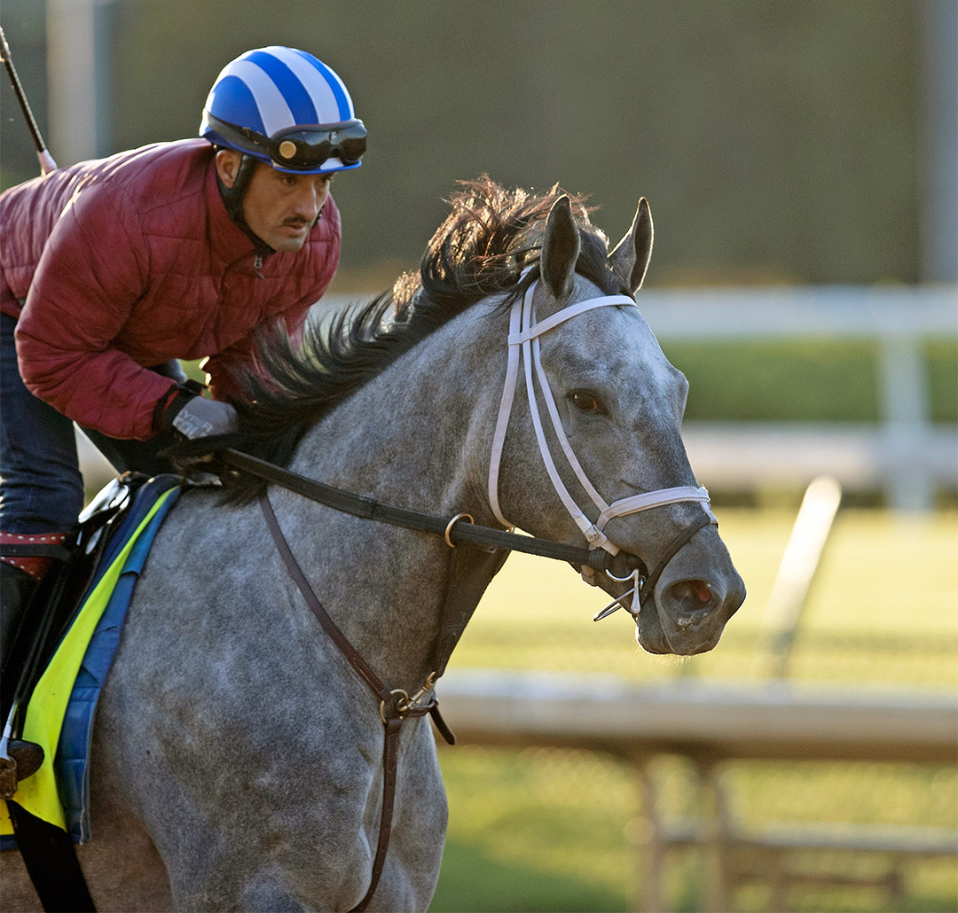 Essential Quality trains at Churchill Downs on April 22