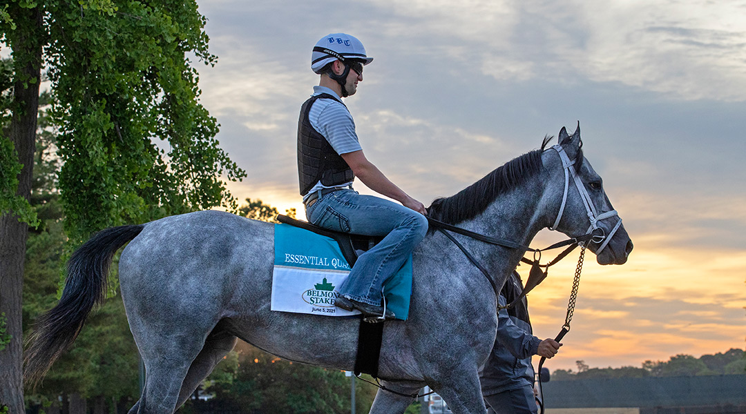Essential Quality at Belmont Park on June 2