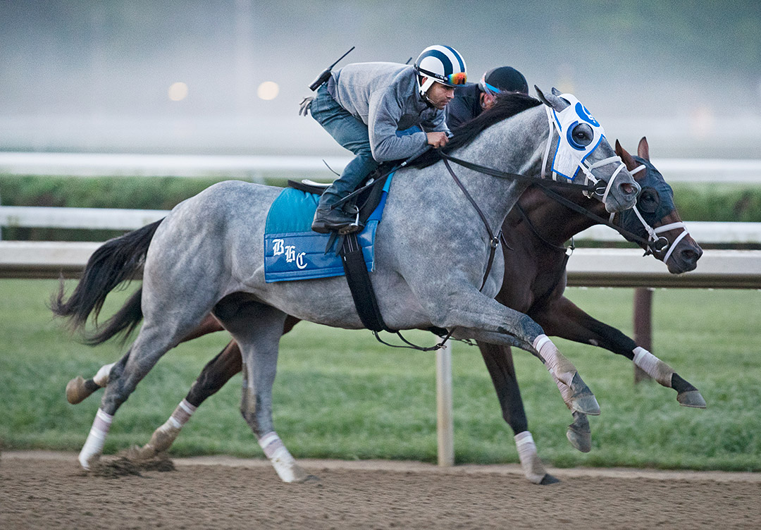 Essential Quality works on July 24 at Saratoga Race Course