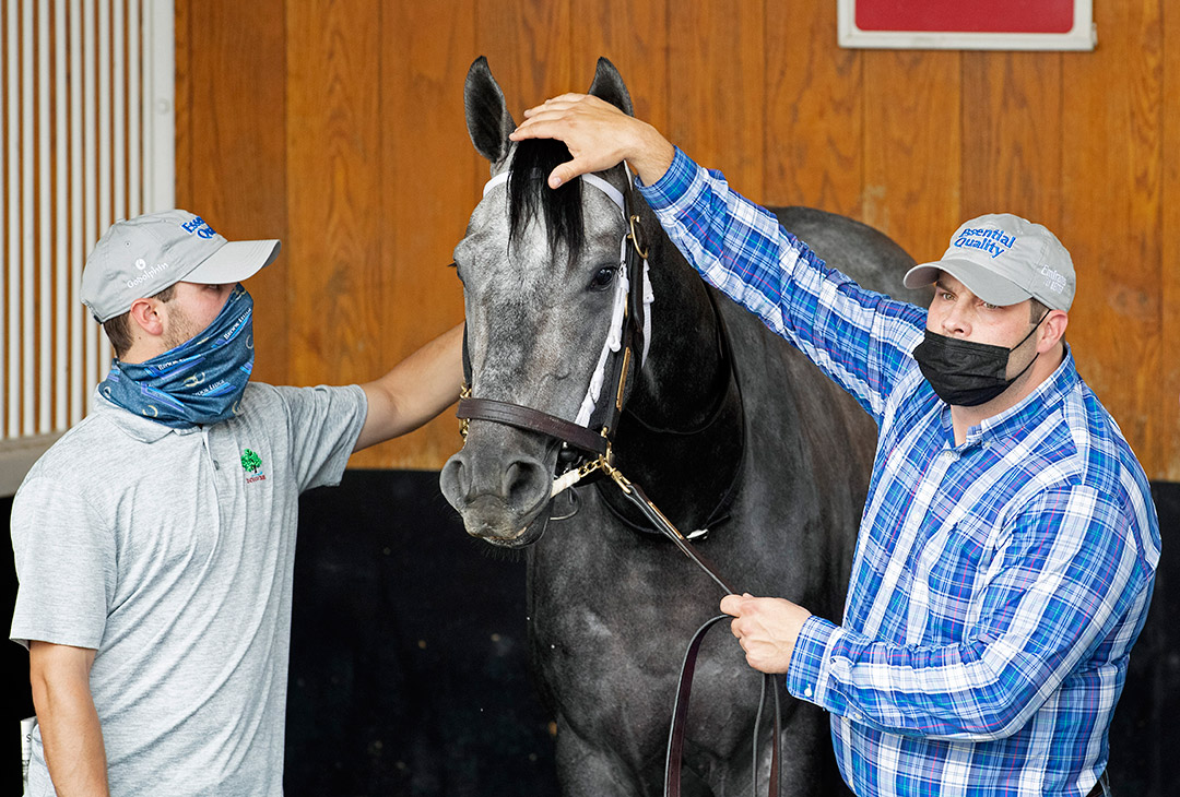 Trainer Brad Cox (right) and his son Bryson school Essential Quality in the Churchill paddock on April 28