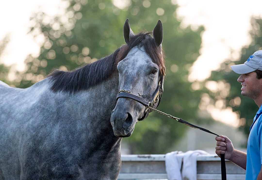 Essential Quality at Saratoga in August 2021