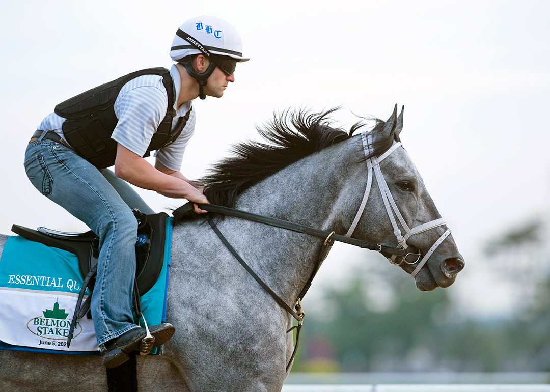 Essential Quality trains at Belmont Park on June 2