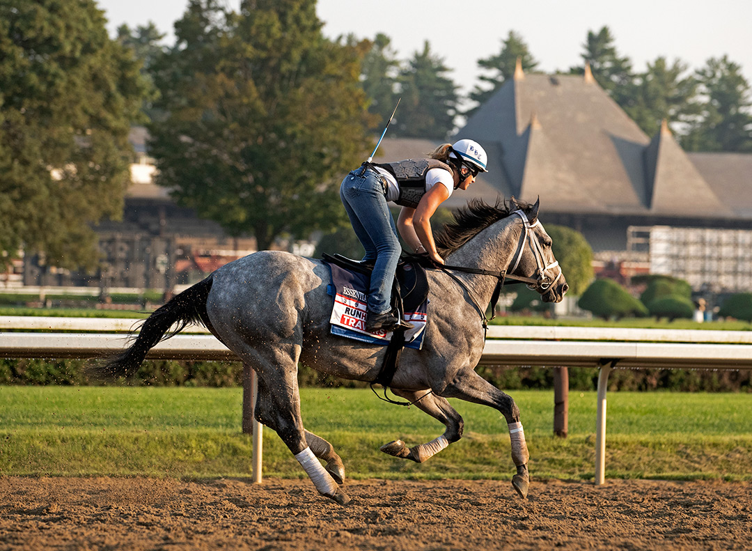 Essential Quality trains at Saratoga Race Course on Aug. 25