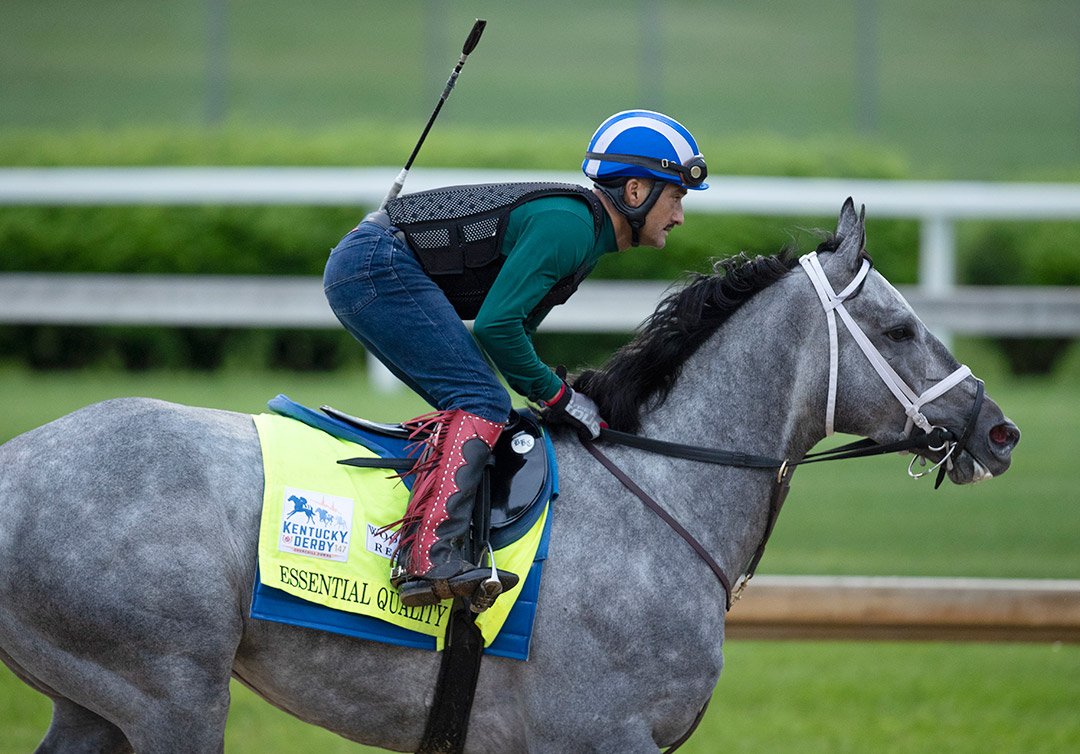 Essential Quality trains at Churchill Downs on April 29