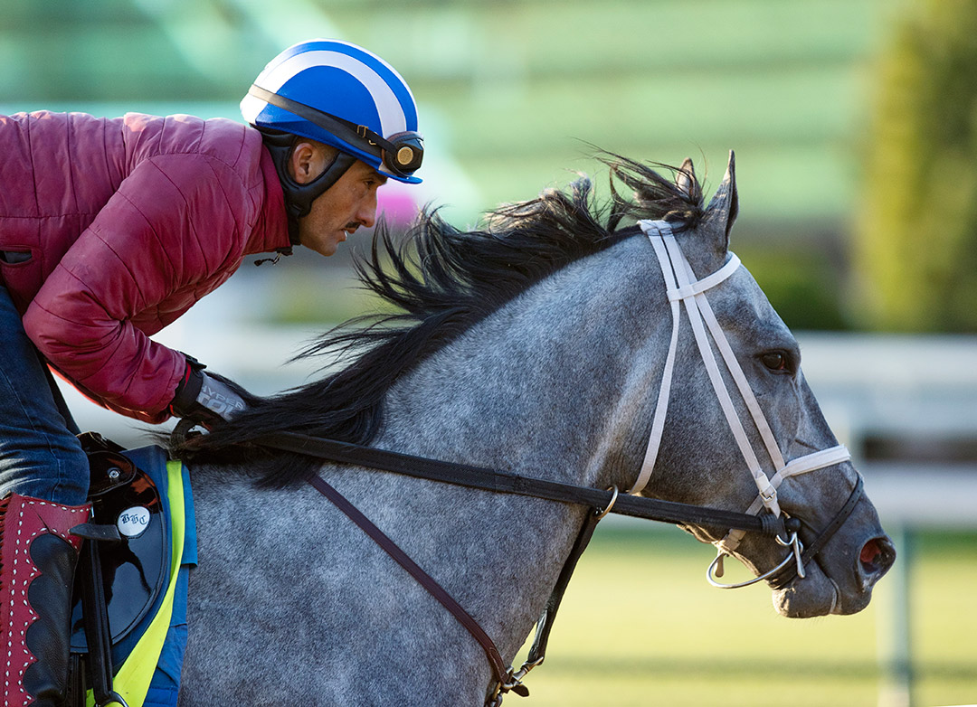 Essential Quality trains at Churchill Downs on April 22