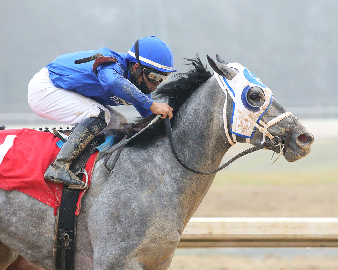 Essential Quality wins the 2021 Southwest Stakes at Oaklawn Park