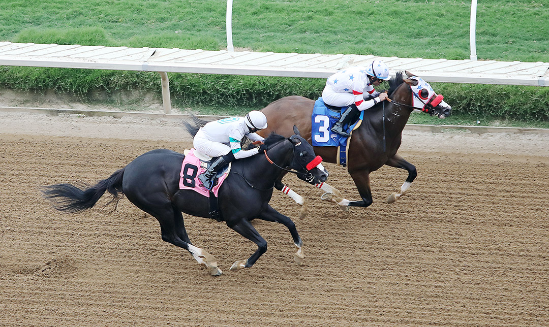 Established (3) wins an Aug. 21 allowance race at Del Mar