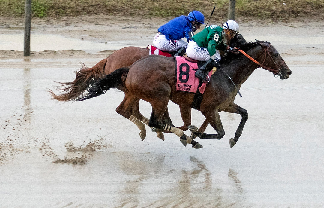 Estilo Talentoso (No. 8) wins the 2021 Bed o'Roses Stakes at Belmont Park