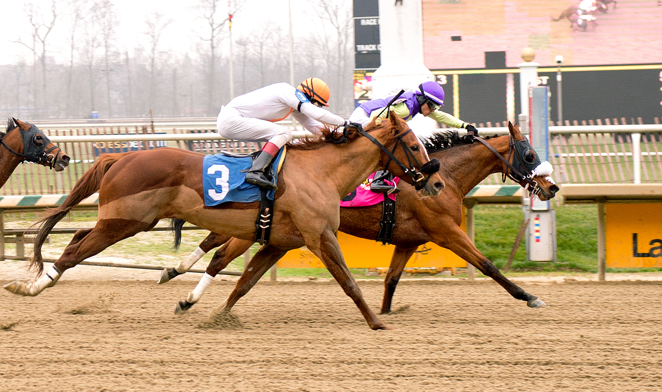 Estrada's Girl wins a claiming race on Jan. 9