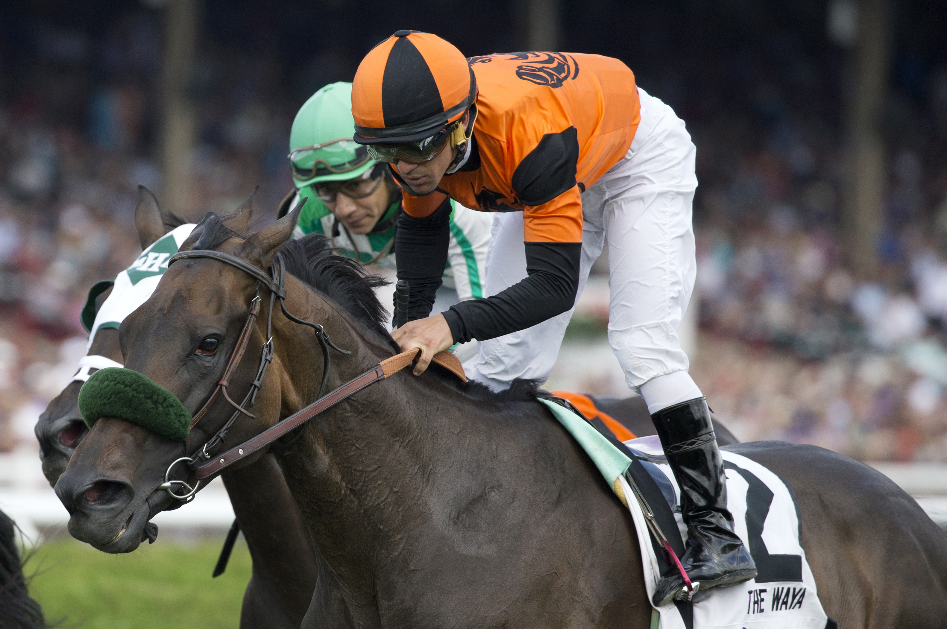 Estrechada wins the 2017 Waya Stakes