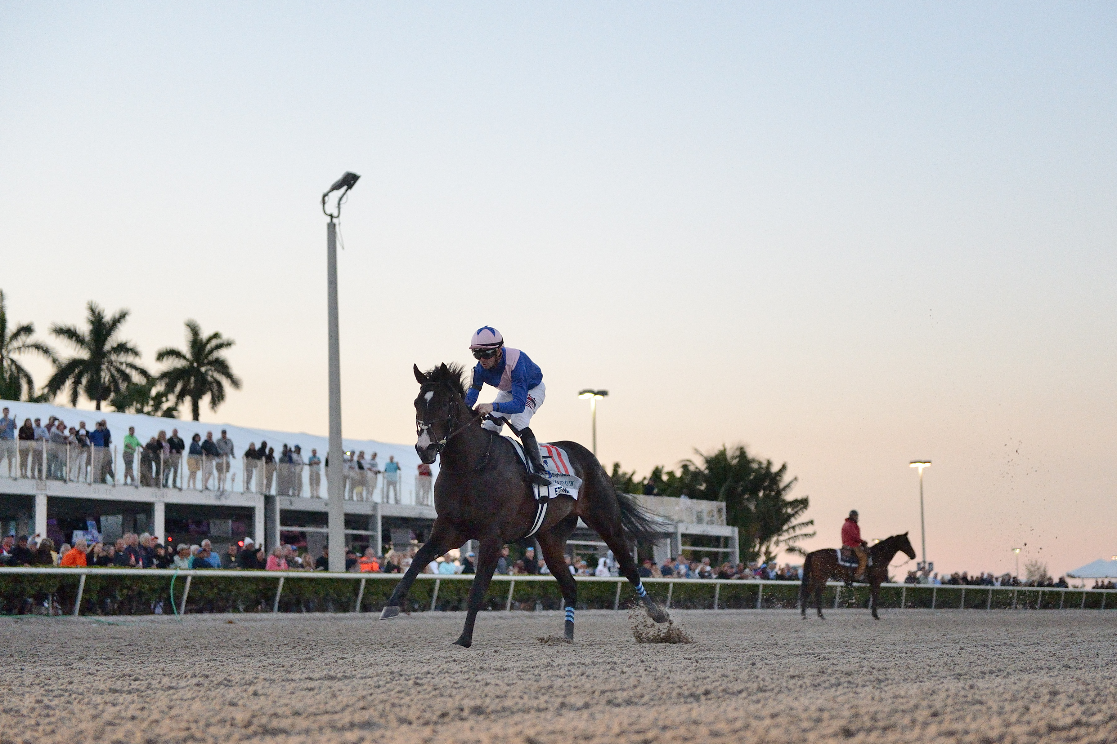 Ete Indien wins the 2020 Fountain of Youth Stakes