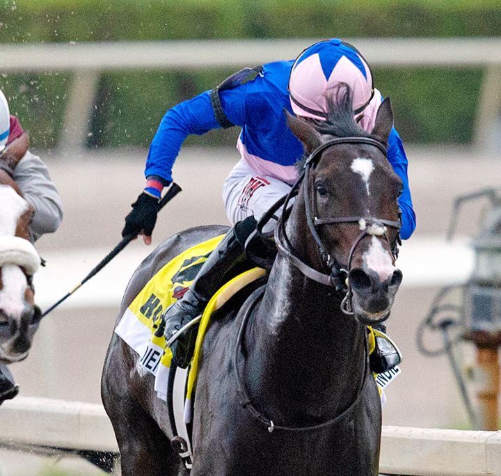 Ete Indien finishes second in the 2020 Holy Bull at Gulfstream Park