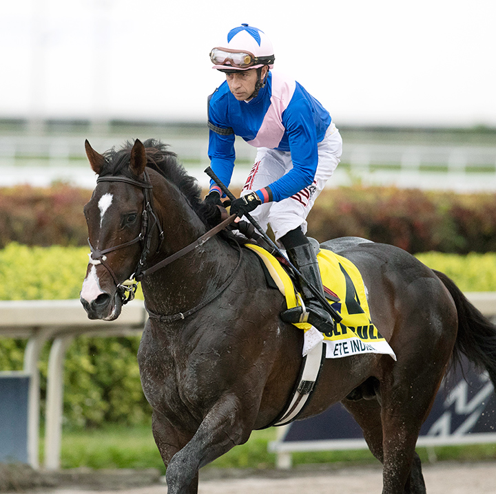 Ete Indien finishes second in the Holy Bull at Gulfstream Park
