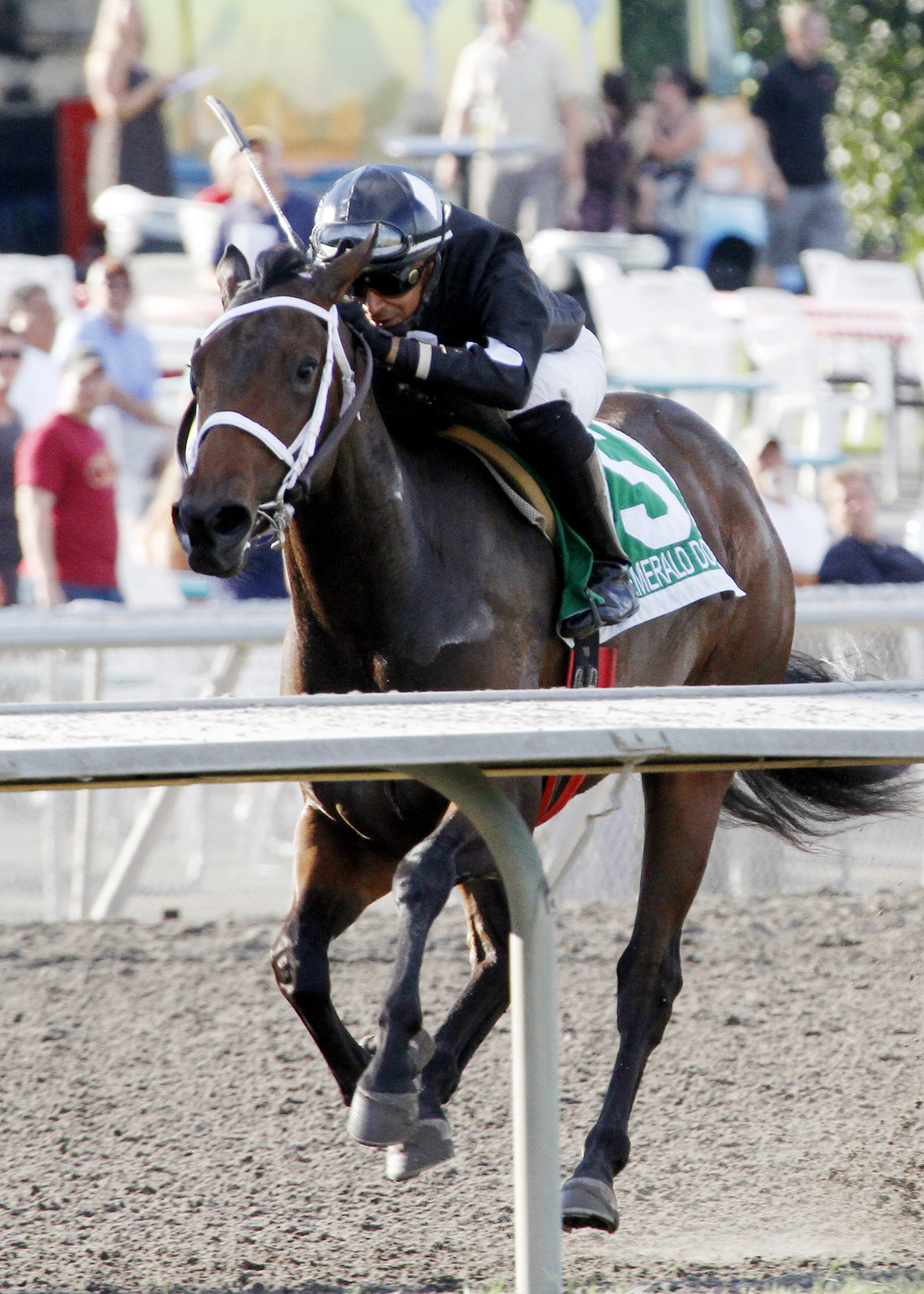 Ethan's Baby wins the Angie C Stakes