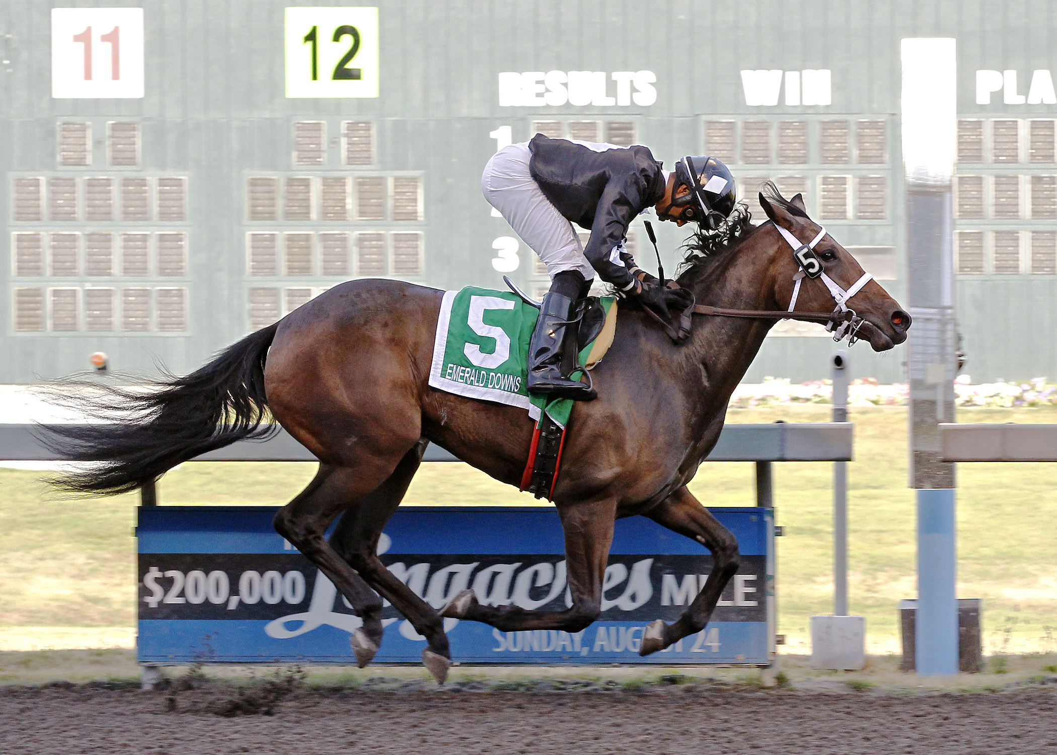Ethan's Baby wins the 2014 Angie C Stakes