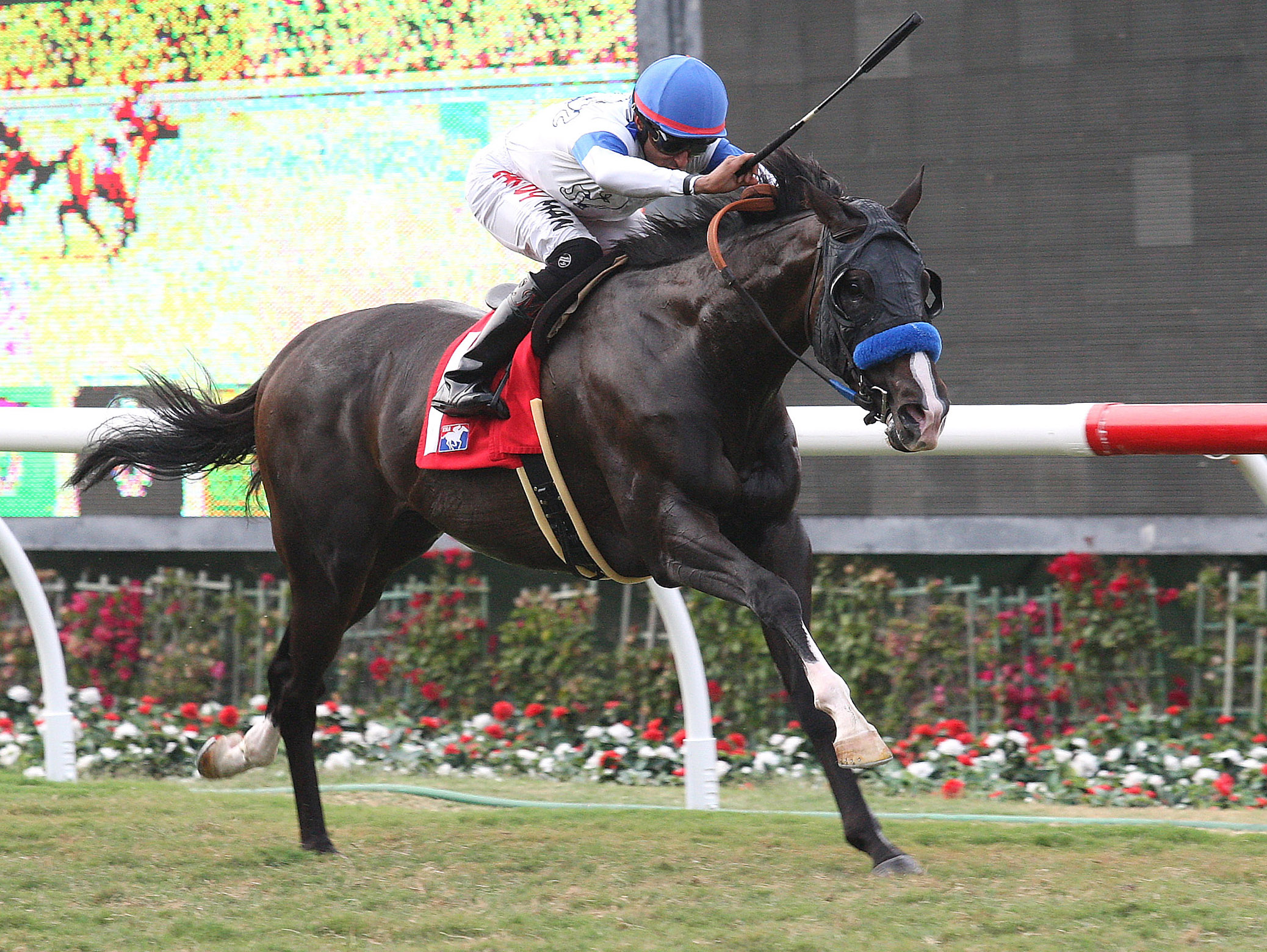 Ethnic Dance, Del Mar Derby