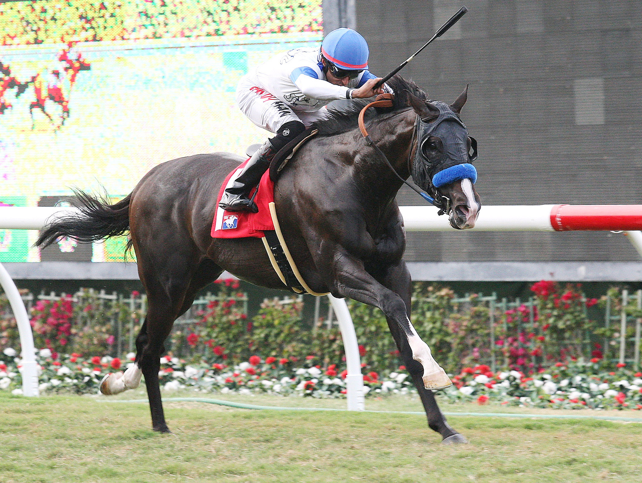 Ethnic Dance wins the Del Mar Derby