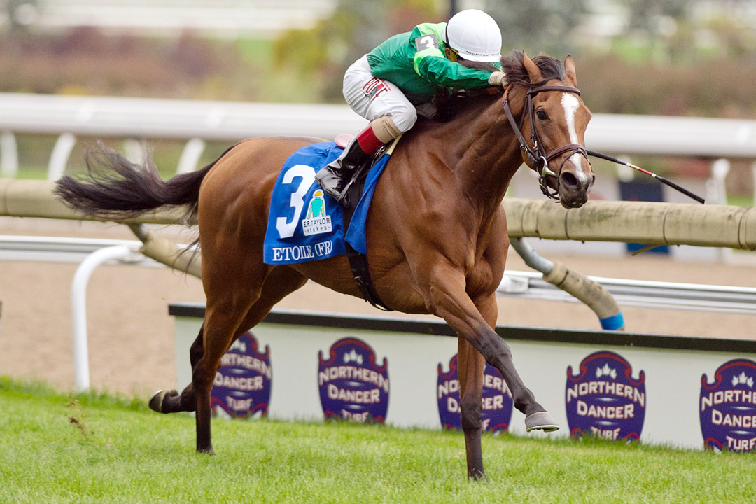 Etoile wins the 2020 E. P. Taylor Stakes at Woodbine