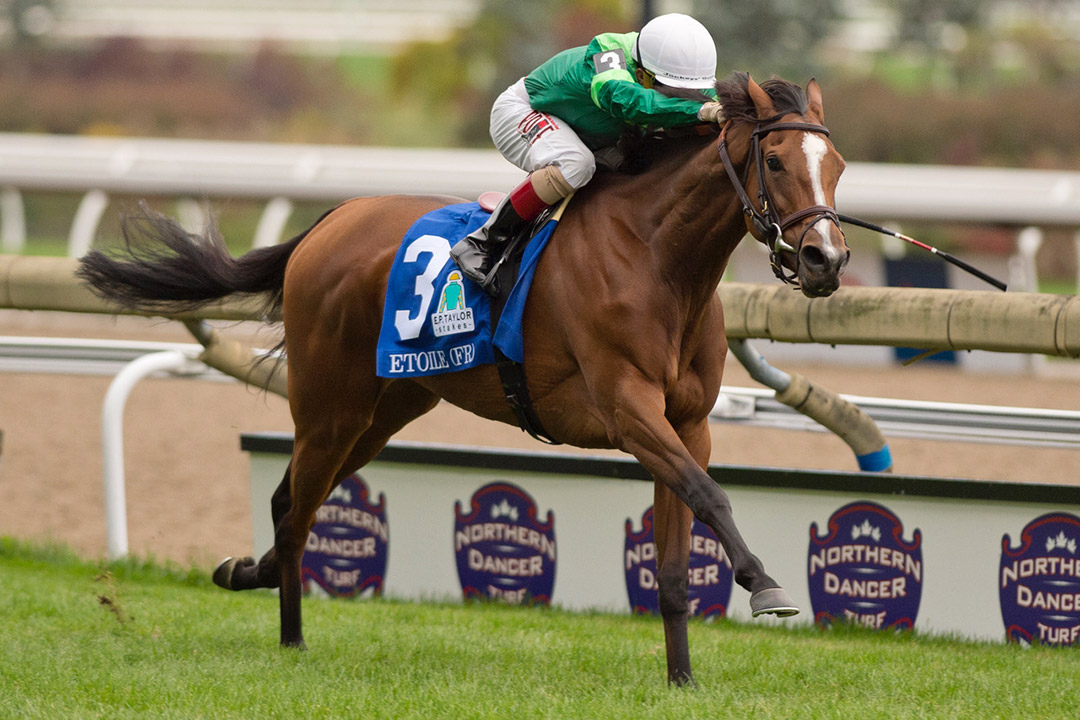 Etoile wins the 2020 E. P. Taylor Stakes at Woodbine