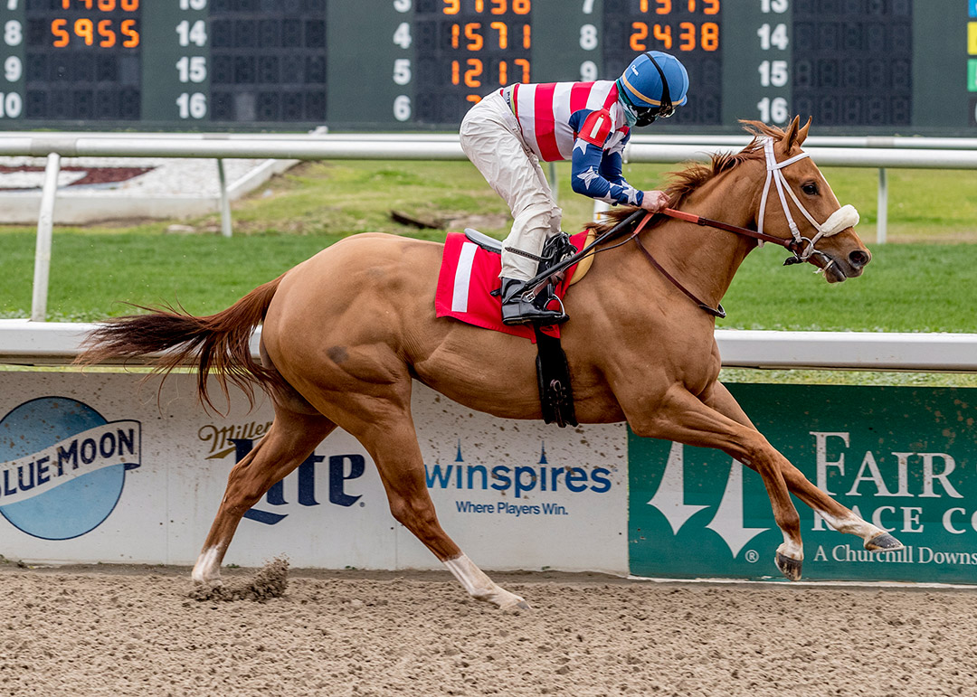 Euphoric wins a Feb. 13 maiden race at Fair Grounds