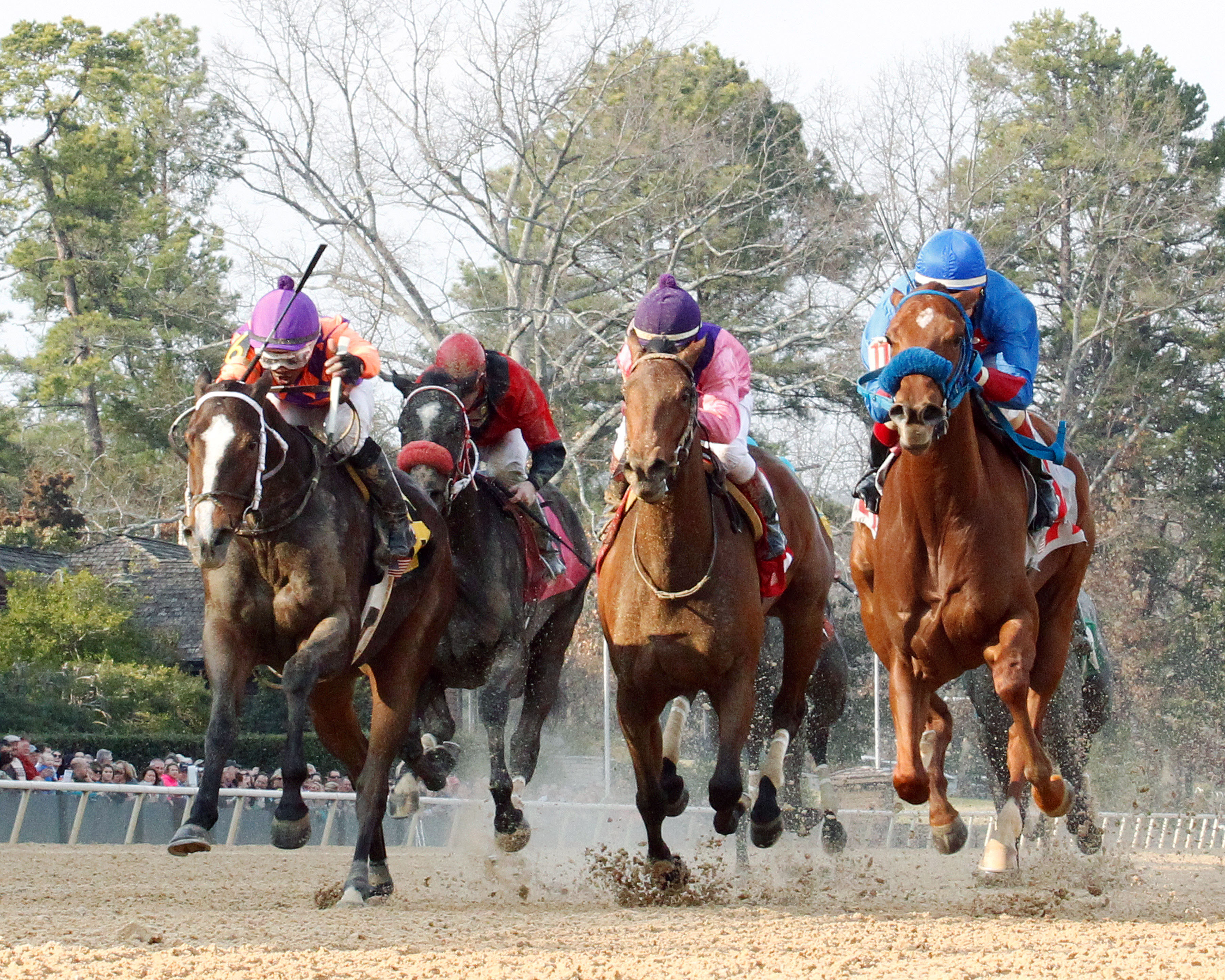 Euphrosyne wins the Honeybee