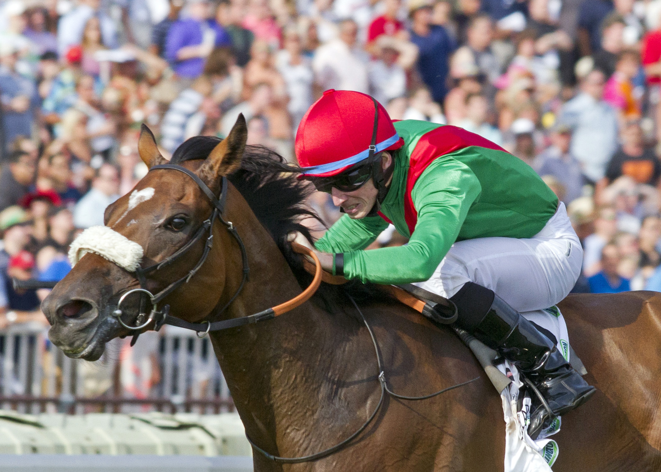 Euro Charline wins the Beverly D