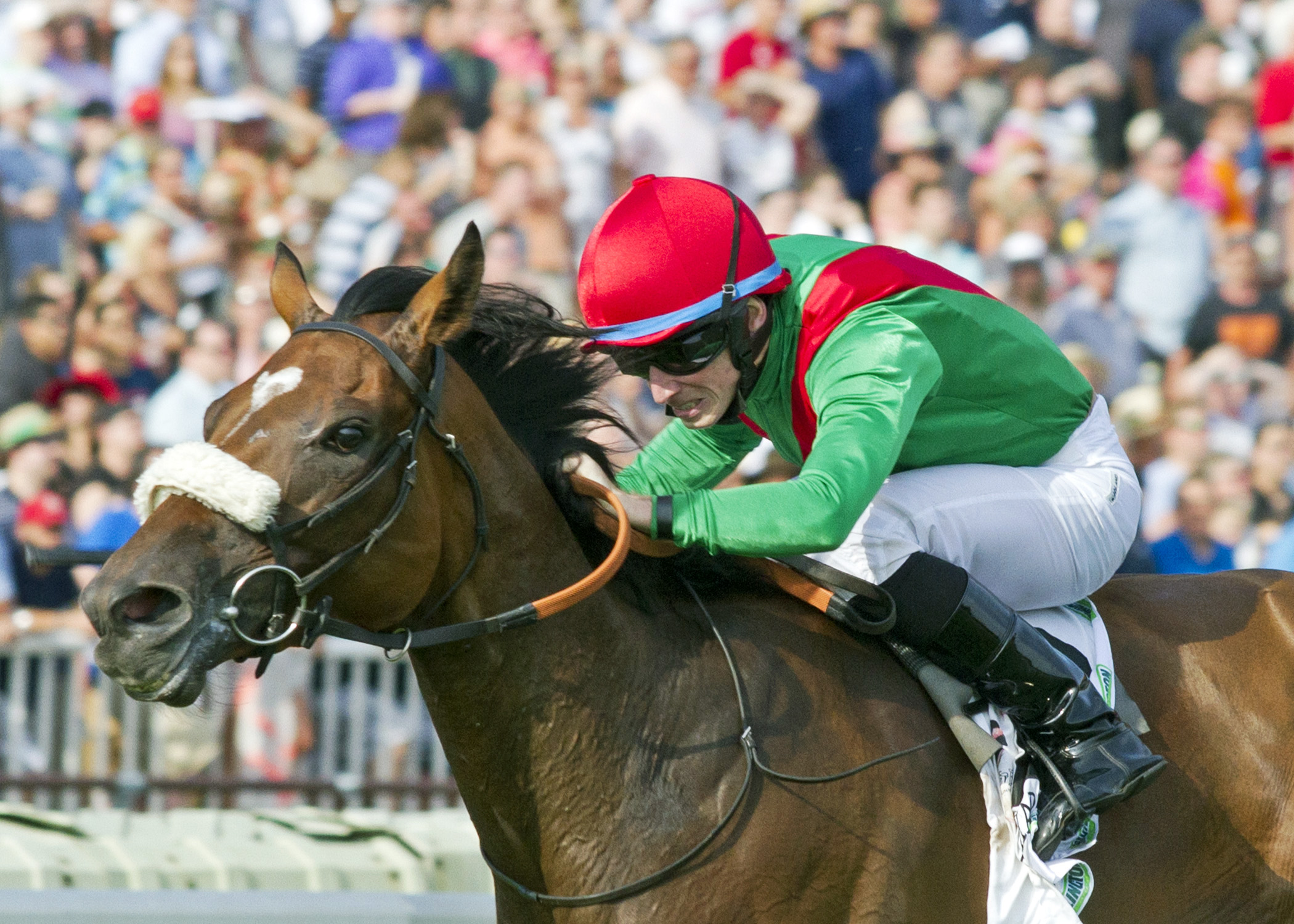 Euro Charline wins the Beverly D