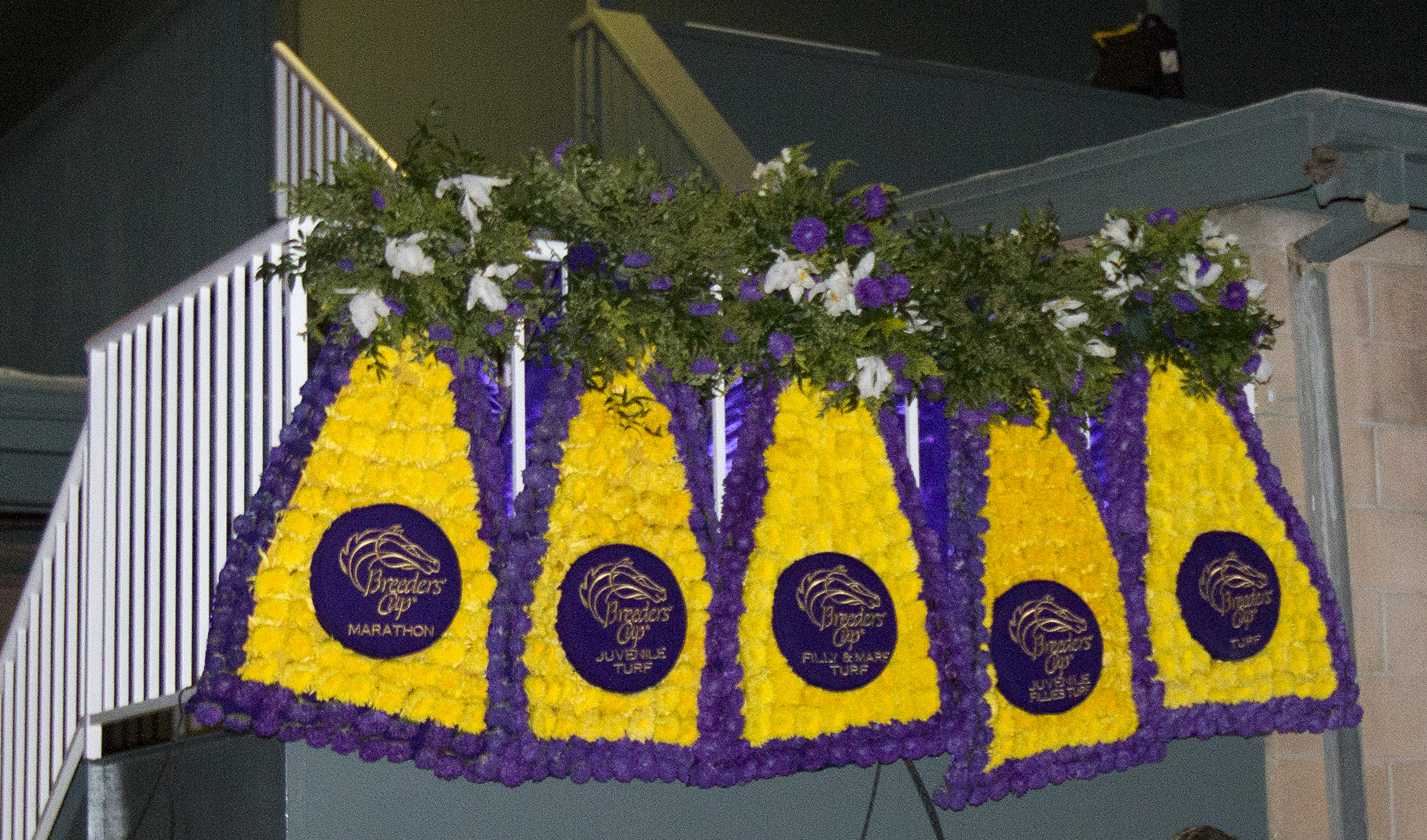 European Breeders' Cup winning blankets