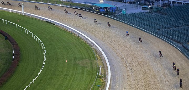 European horses on the dirt at Churchill on Nov. 1
