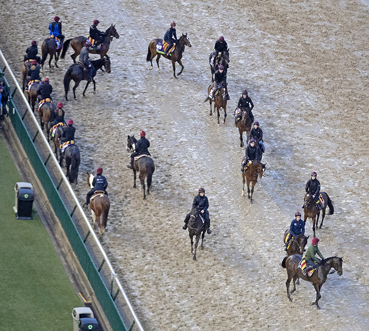 Aidan O-Brien and his Euro contingent at Churchill on Nov. 1