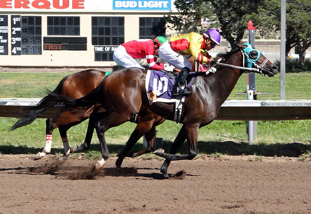 Evacuee wins the 2019 New Mexico State Fair Thoroughbred Futurity at the Downs at Albuquerque