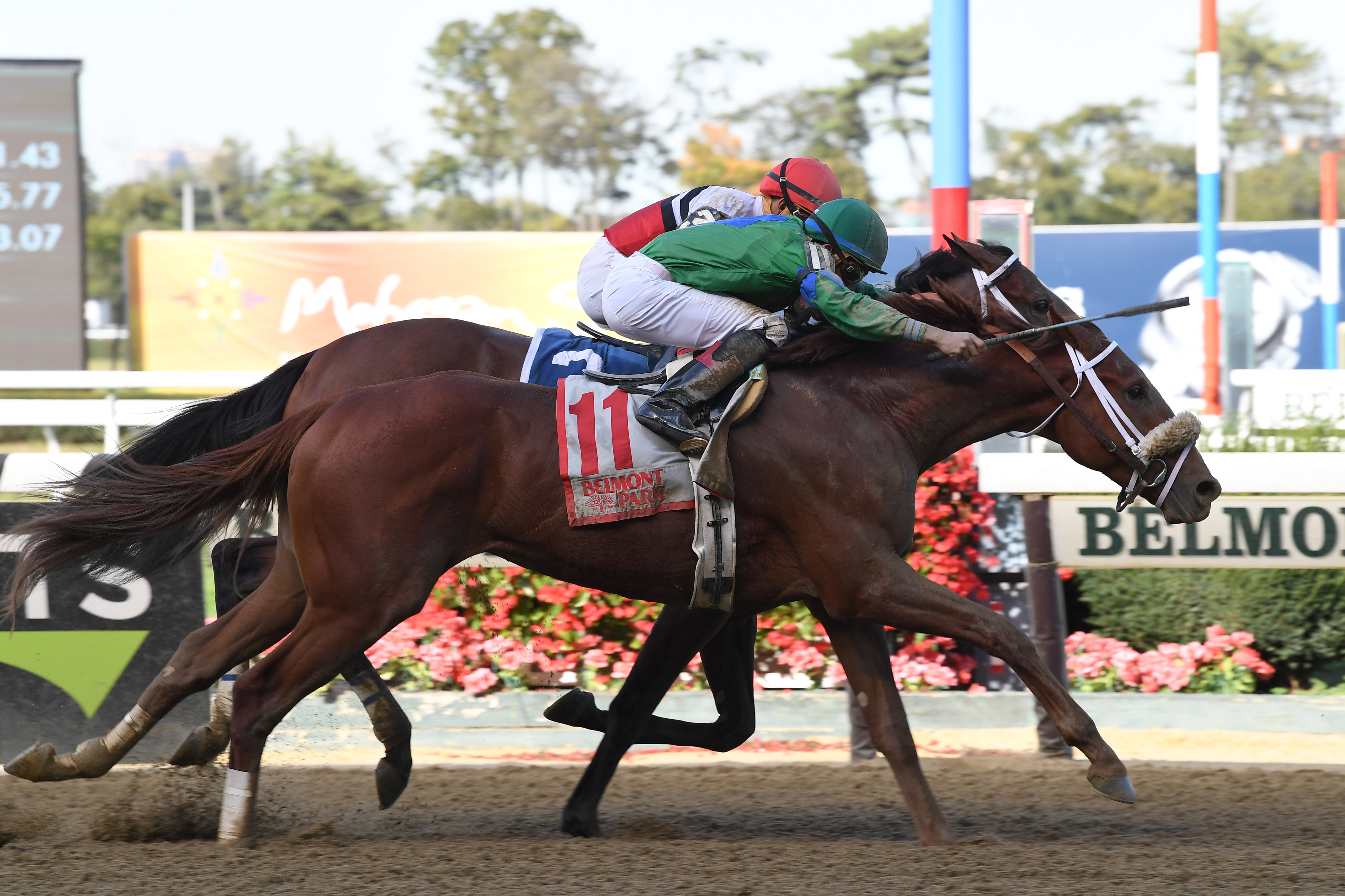 Evaluator wins the Sleepy Hollow
