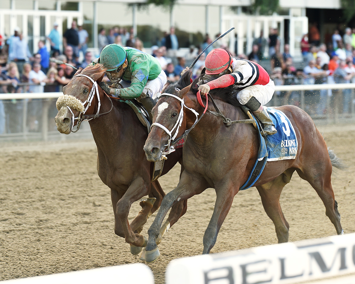 Evaluator wins the 2017 Sleepy Hollow