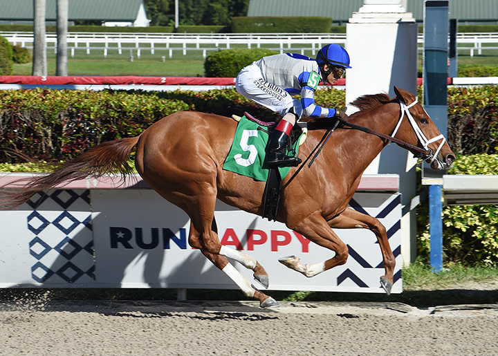 Eve of War wins a Feb. 2 maiden race at Gulfstream Park