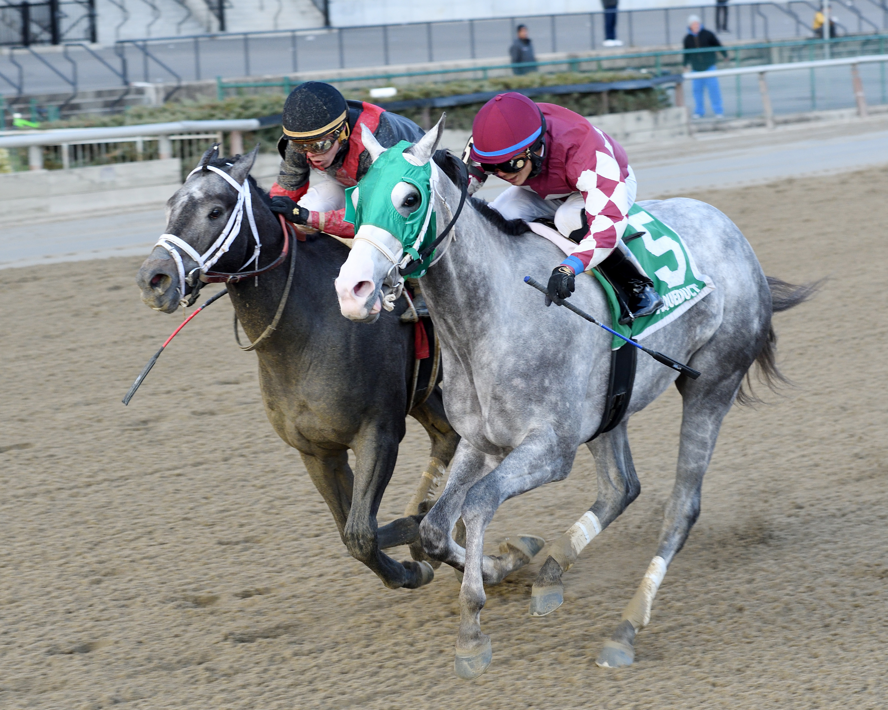 Even Thunder wins the King's Swan Stakes