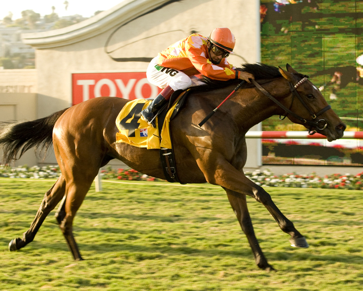 Evening Jewel - Eclipse Awards