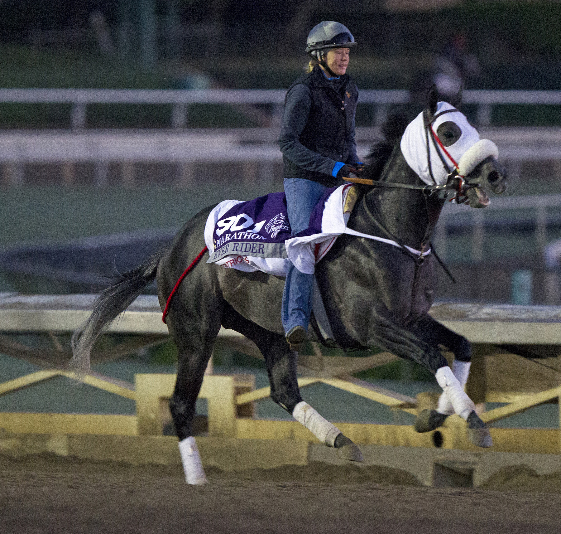 Ever Rider at Santa Anita