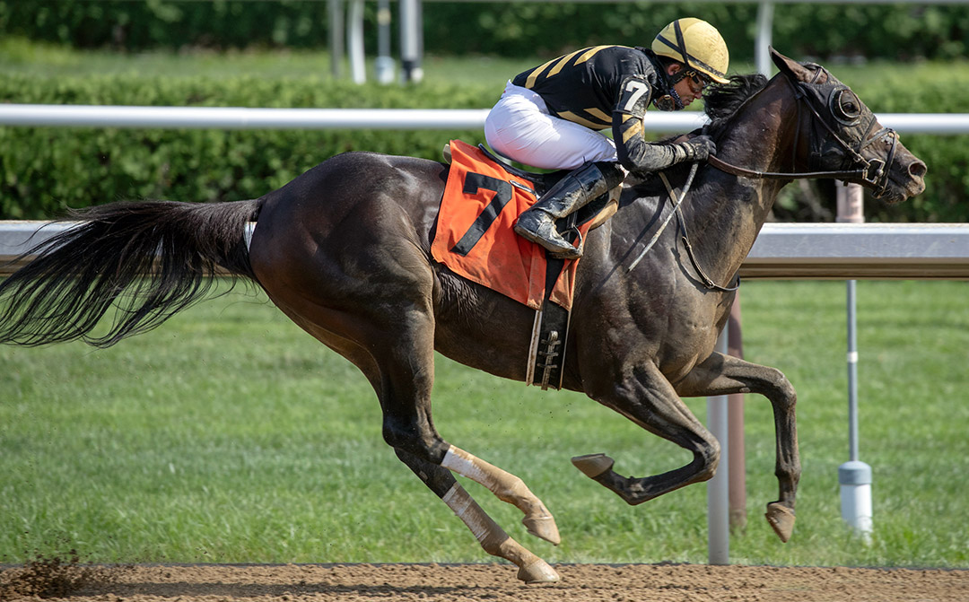 Everfast wins an Aug. 1 allowance at Saratoga Race Course