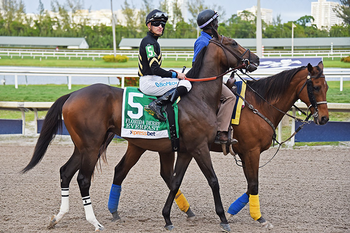 Preakness Stakes: Romans taking a shot with longshot Everfast