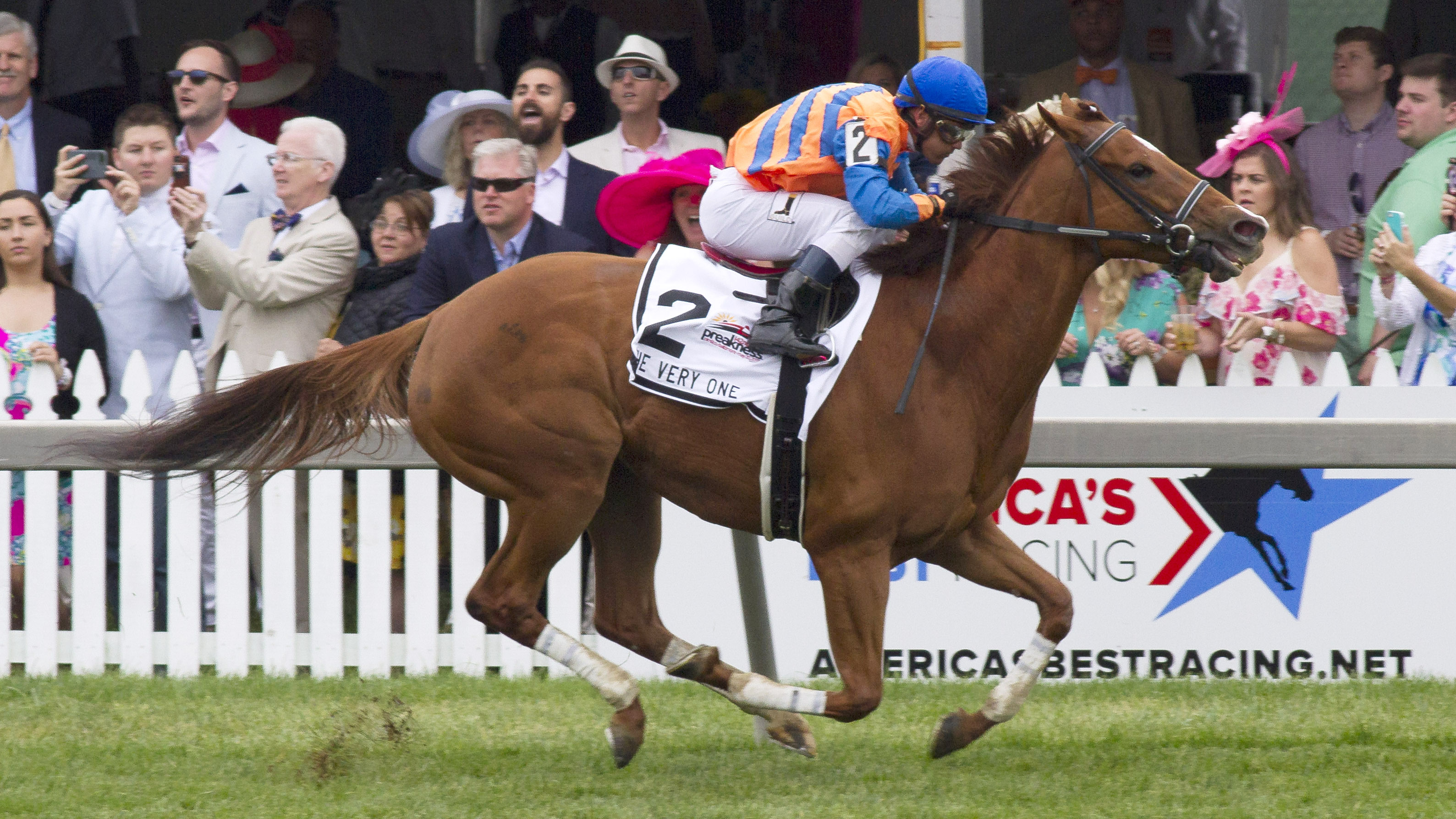 Everything Lovely wins the The Very One