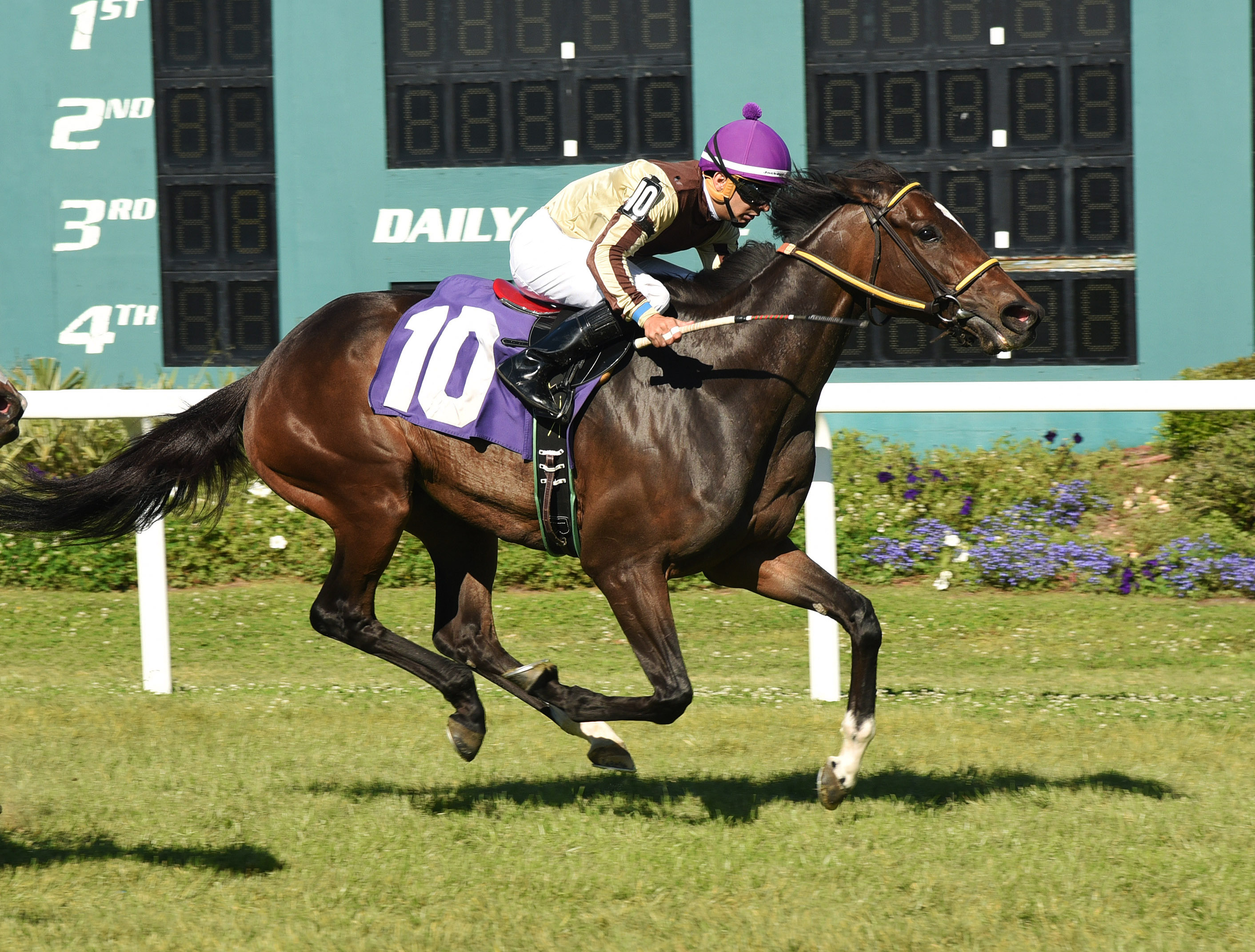 Evidently wins the Distaff Turf Stakes