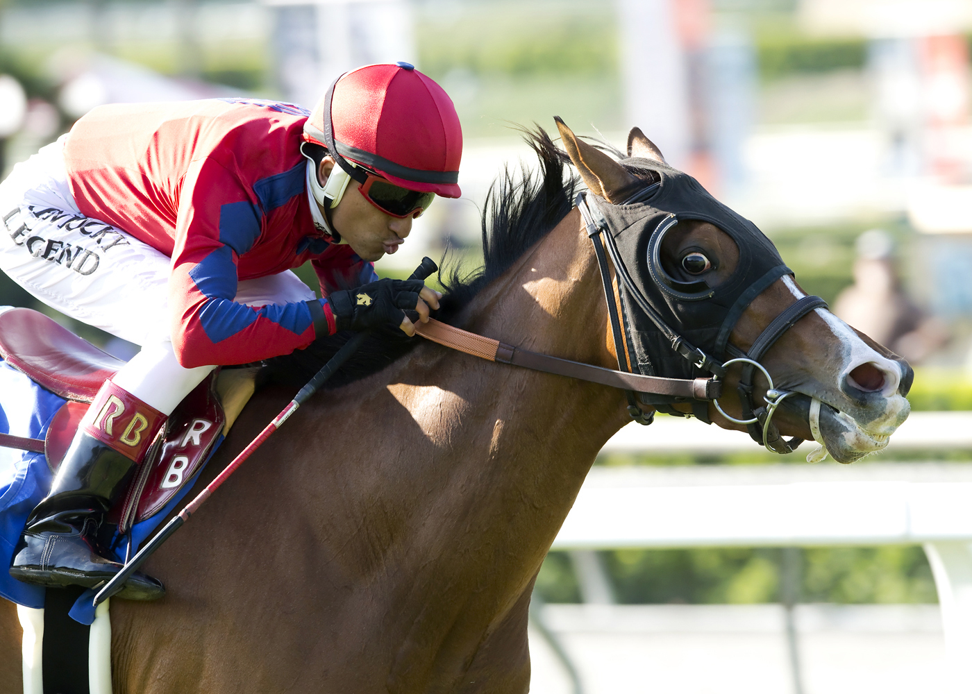 Evo Campo wins the Possibly Perfect Stakes