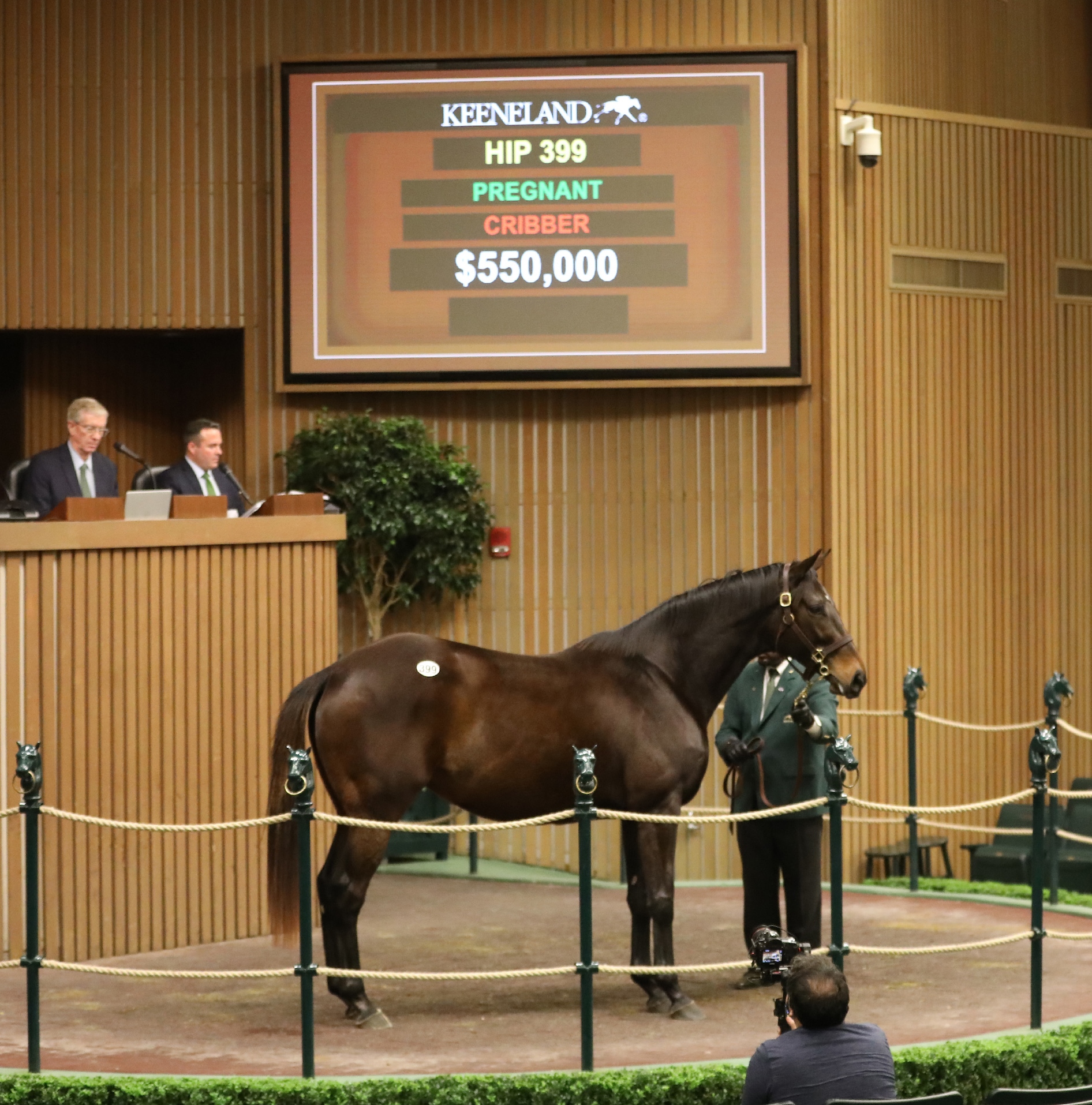 Evocative.Keeneland January sale hip 399 Jan 9 2023
