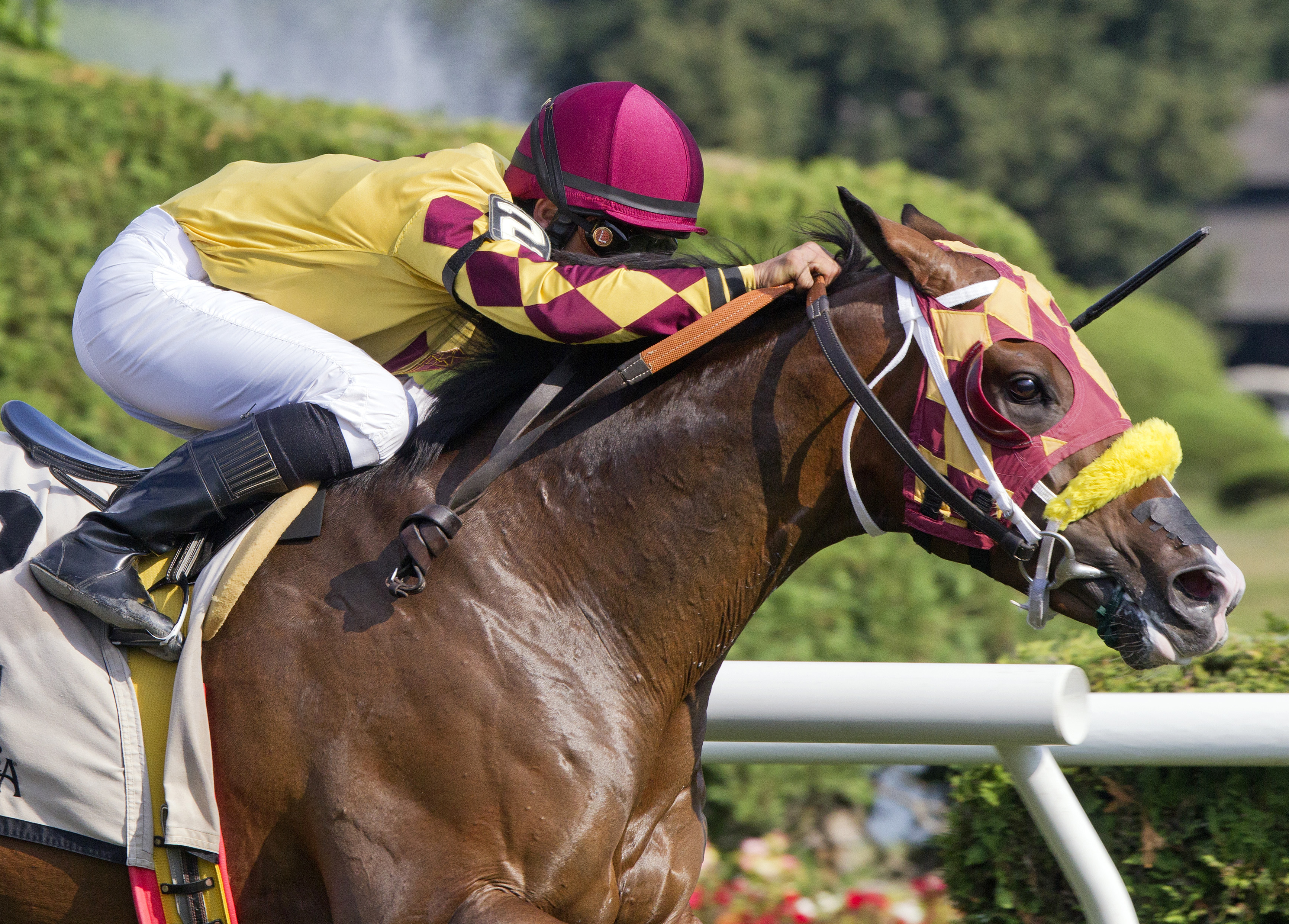 Ex Ex Ex wins the Cab Calloway