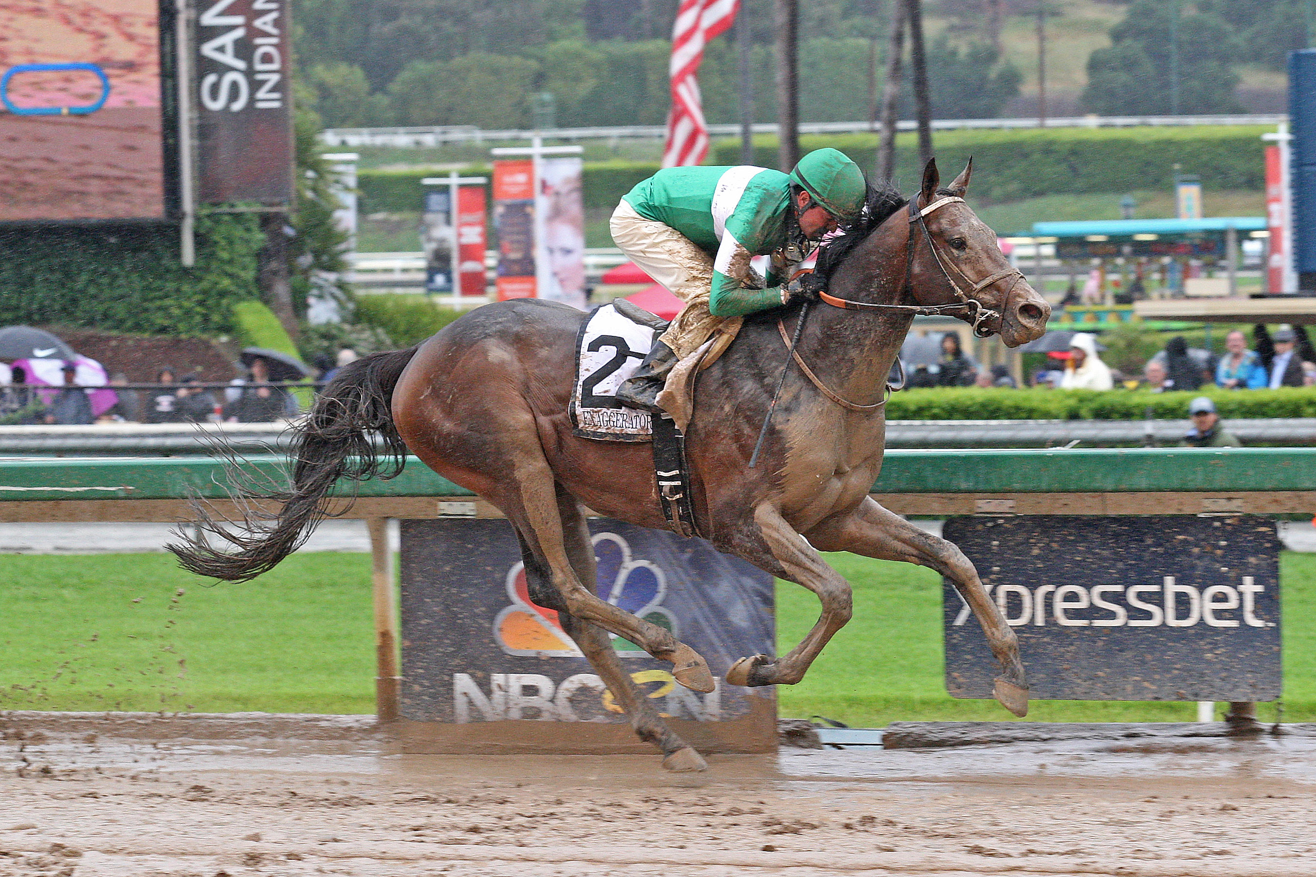 Exaggerator1 4-9-16