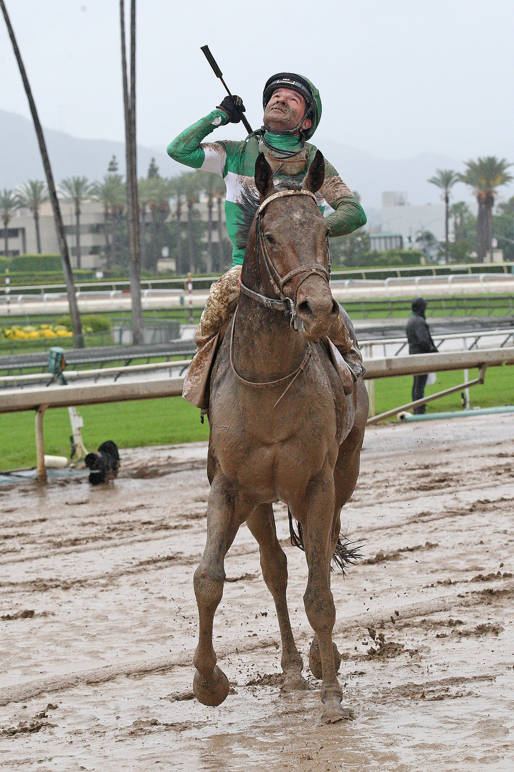 Exaggerator 04-09-2016