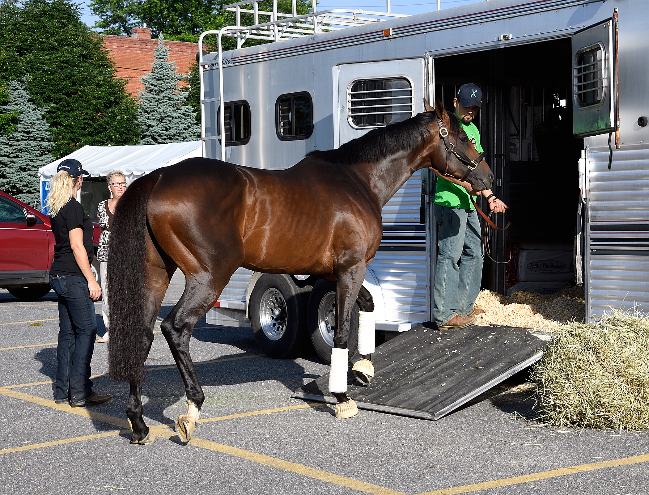 Exaggerator 5-29-2016