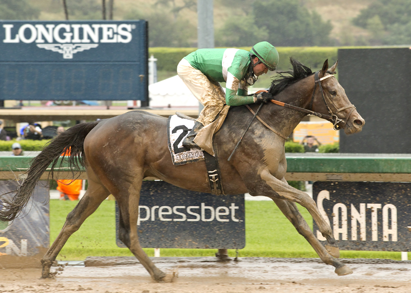 Exaggerator 4-9-2016